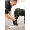 Weaver Leather Livestock Conditioning Cream
