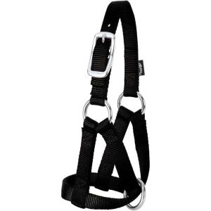 Weaver Leather LivestockWeaver Leather Livestock Goat Halter, Black, 3/4″ Large(Black)