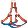 Terrain D.O.G. Reflective Neoprene Lined Dog Harness(Orange)