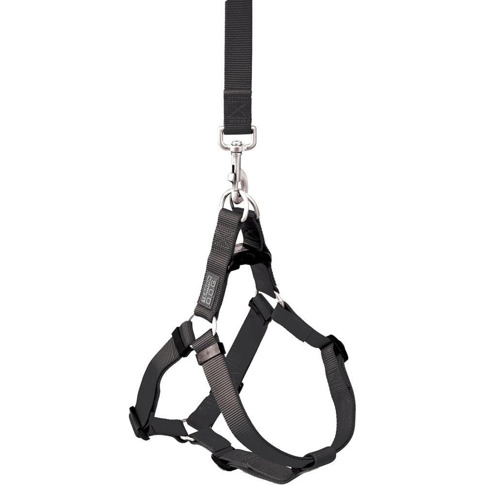 image:imageTerrain DOG Nylon Dog Harness Medium 1625 inch Girth Size Blue HeavenBlack