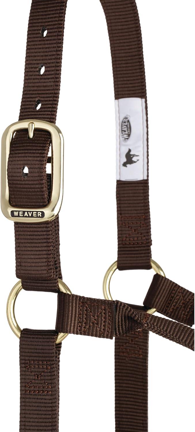 image:imageWeaver Equine Nylon Horse Halter TriplePly Cheek Design Original Non Adjustable Halters for Horses Equine TackAverage Size BlackBrown