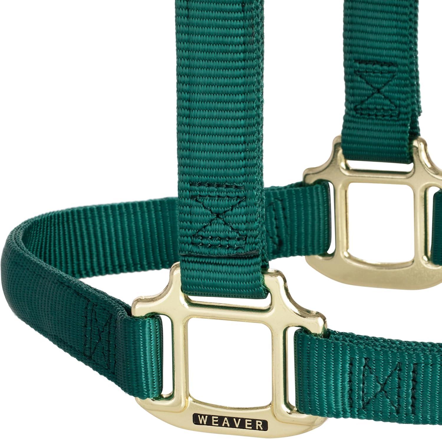 image:imageWeaver Equine Nylon Horse Halter TriplePly Cheek Design Original Non Adjustable Halters for Horses Equine TackAverage Size BlackHunter Green