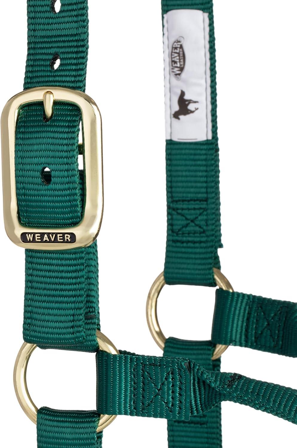 image:imageWeaver Equine Nylon Horse Halter TriplePly Cheek Design Original Non Adjustable Halters for Horses Equine TackAverage Size BlackHunter Green