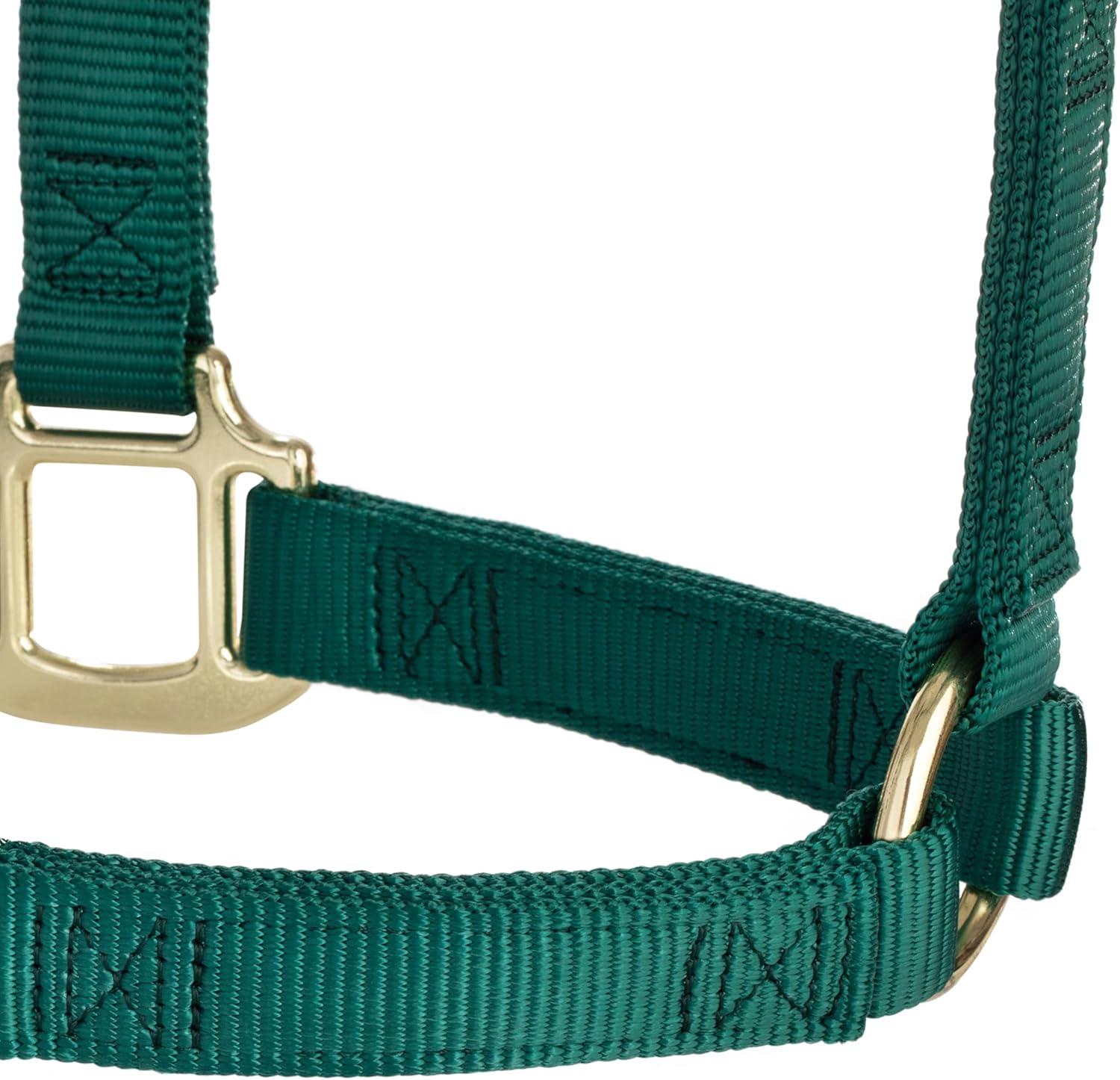 image:imageWeaver Equine Nylon Horse Halter TriplePly Cheek Design Original Non Adjustable Halters for Horses Equine TackAverage Size BlackHunter Green