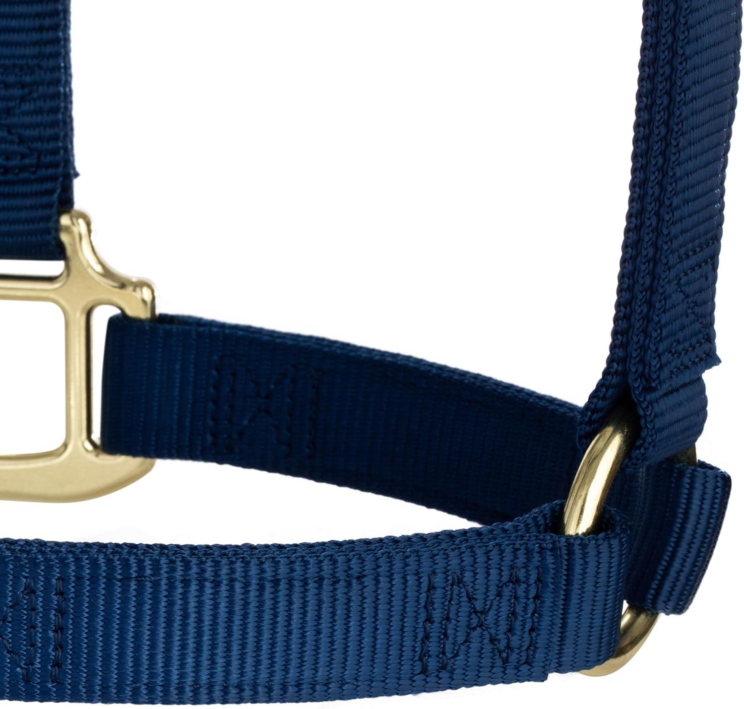 image:imageWeaver Equine Nylon Horse Halter TriplePly Cheek Design Original Non Adjustable Halters for Horses Equine TackAverage Size BlackNavy