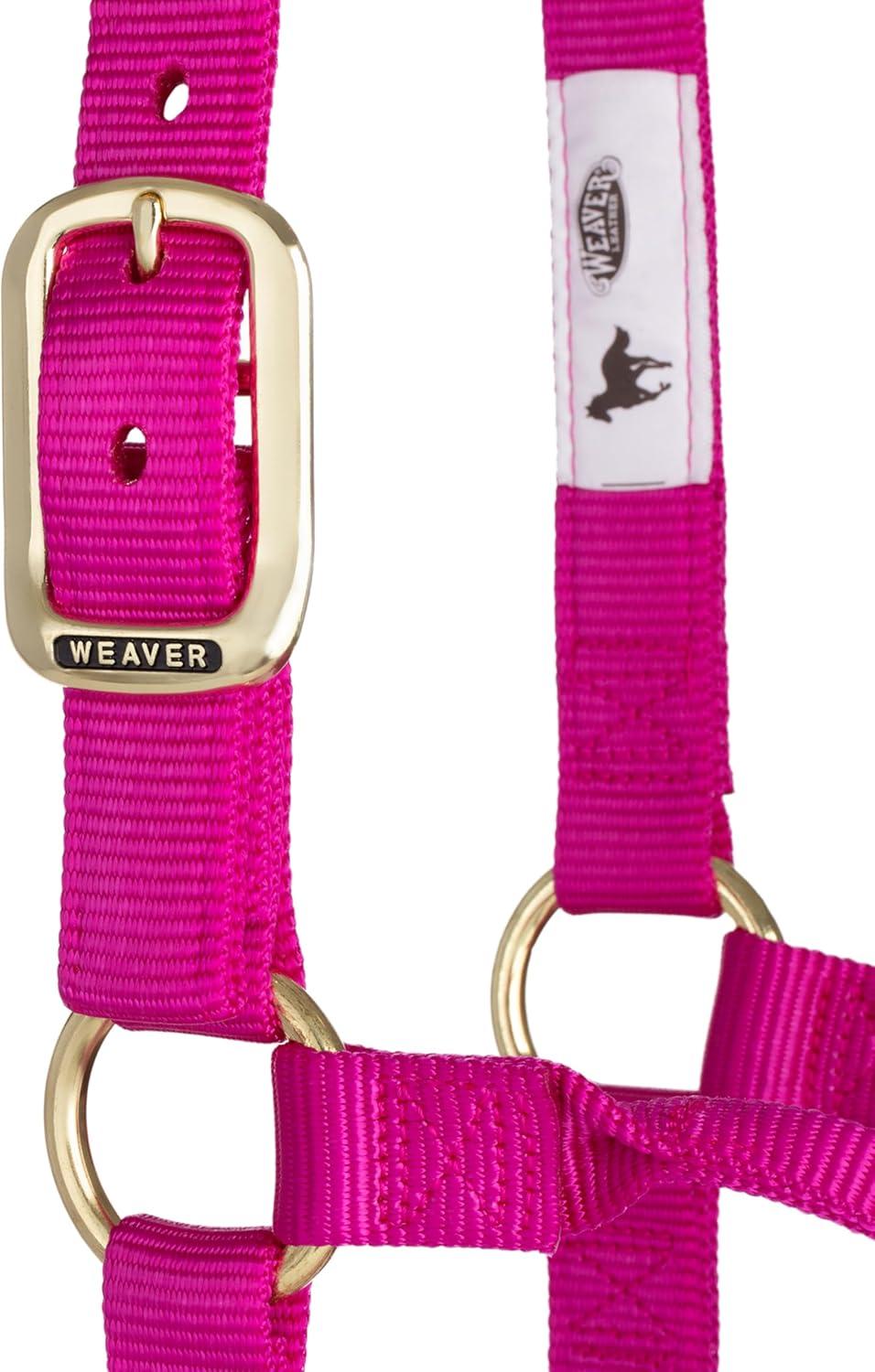 image:imageWeaver Equine Nylon Horse Halter TriplePly Cheek Design Original Non Adjustable Halters for Horses Equine TackAverage Size BlackRaspberry