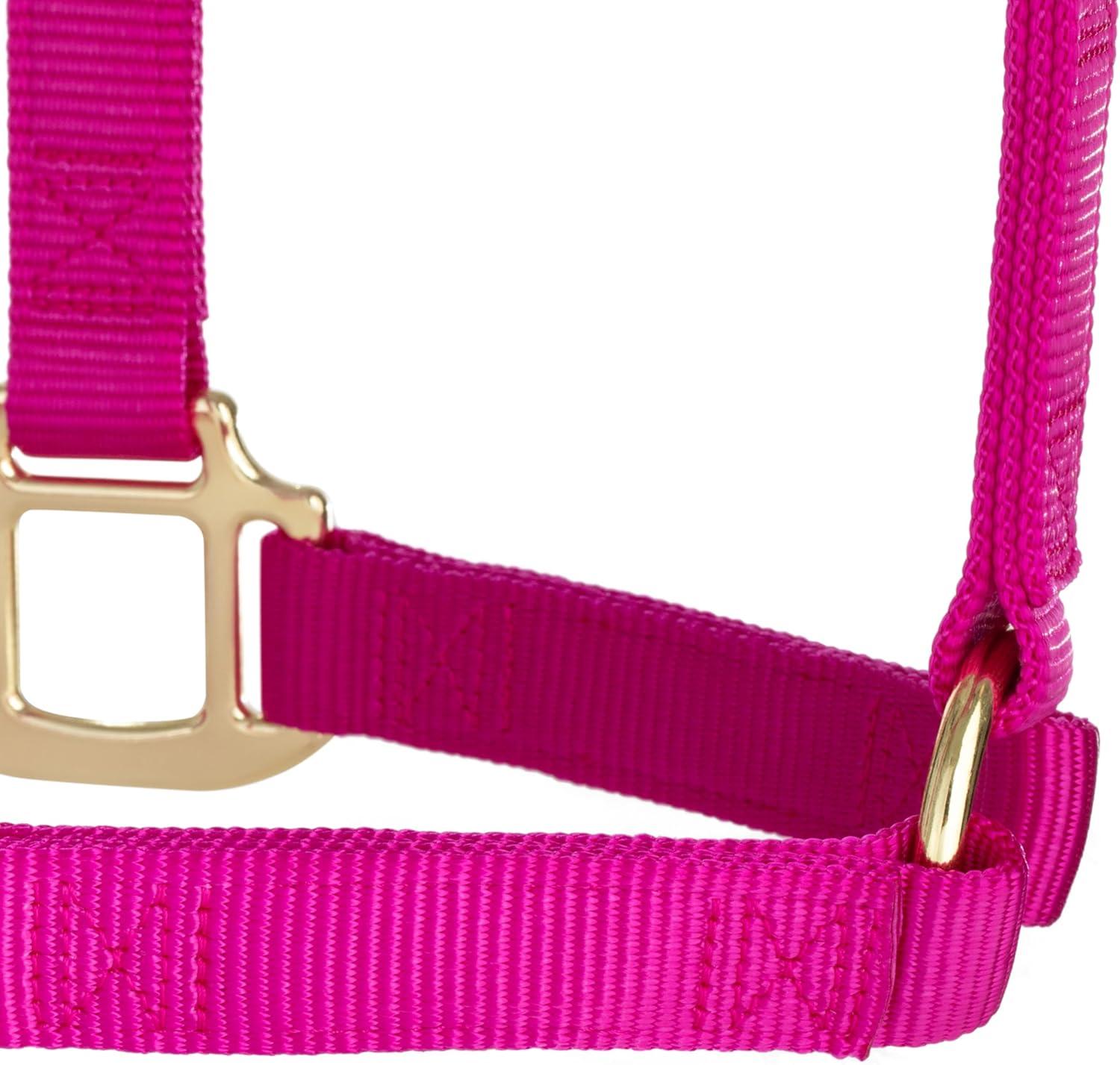 image:imageWeaver Equine Nylon Horse Halter TriplePly Cheek Design Original Non Adjustable Halters for Horses Equine TackAverage Size BlackRaspberry