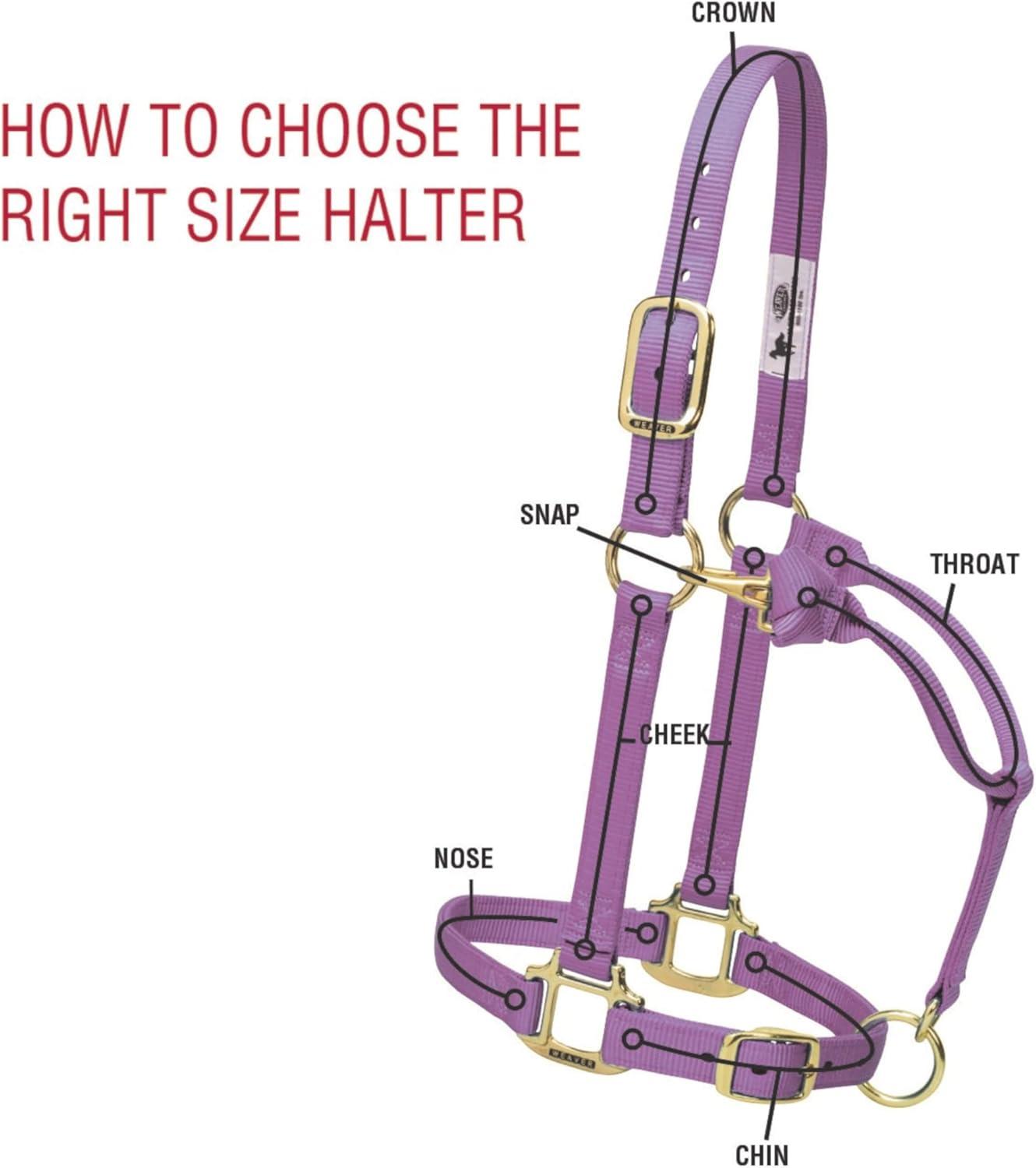 image:imageWeaver Equine Nylon Horse Halter TriplePly Cheek Design Original Non Adjustable Halters for Horses Equine TackAverage Size BlackRaspberry