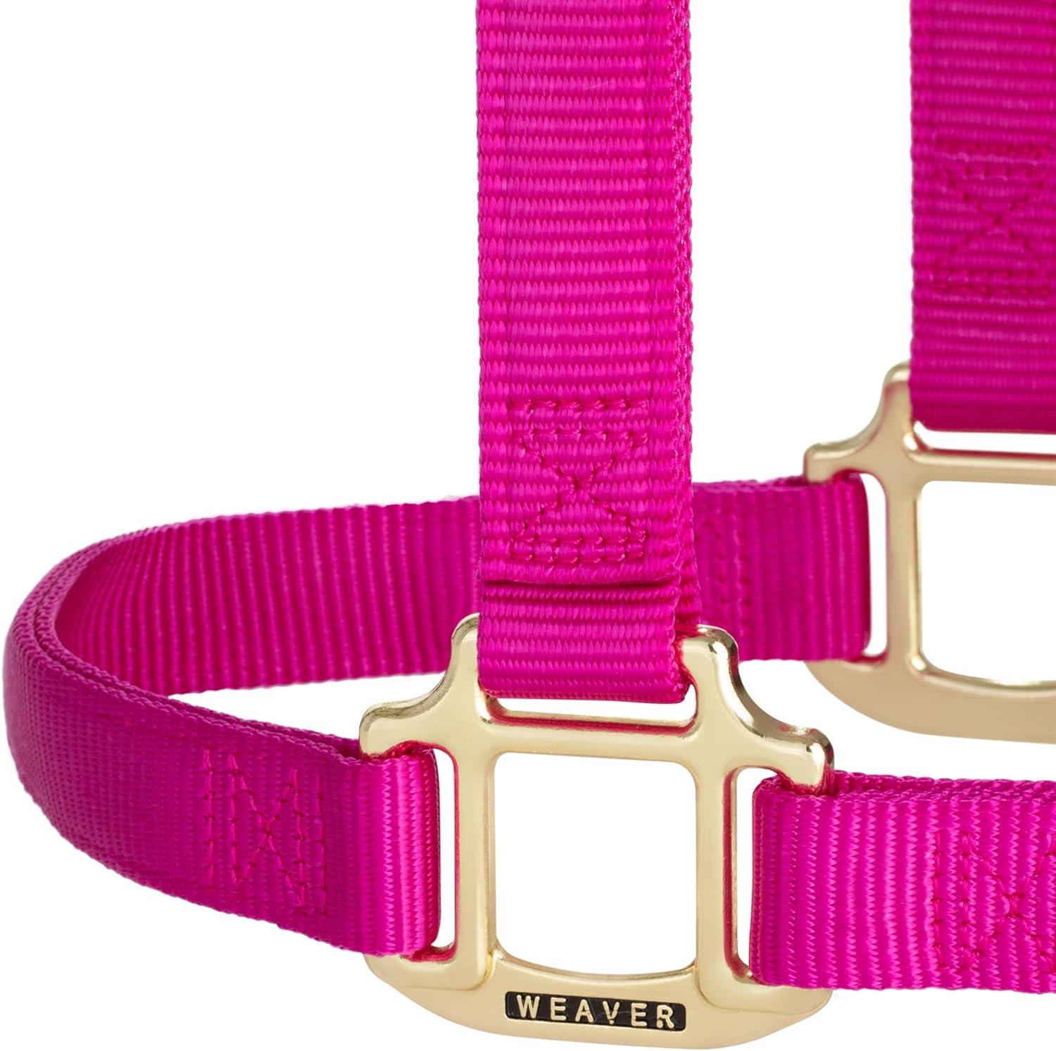 image:imageWeaver Equine Nylon Horse Halter TriplePly Cheek Design Original Non Adjustable Halters for Horses Equine TackAverage Size BlackRaspberry