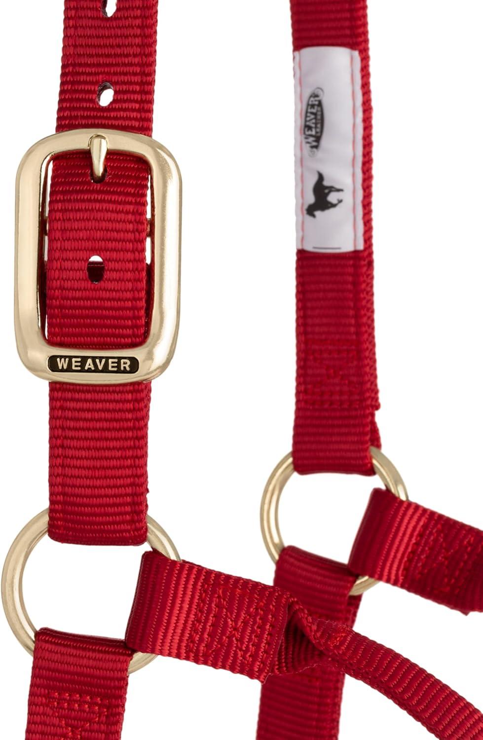 image:imageWeaver Equine Nylon Horse Halter TriplePly Cheek Design Original Non Adjustable Halters for Horses Equine TackAverage Size BlackRed