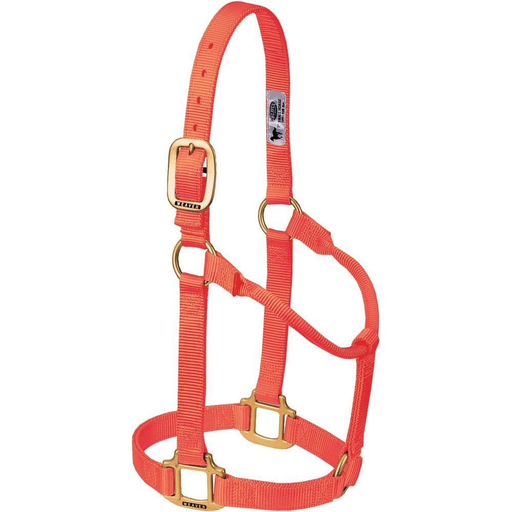 image:imageWeaver Equine Nylon Horse Halter TriplePly Cheek Design Original Non Adjustable Halters for Horses Equine TackAverage Size BlackBlaze Orange