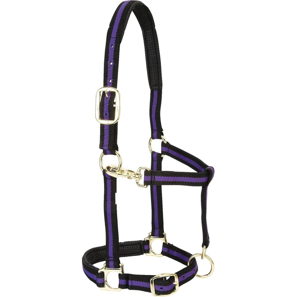 image:imageWeaver Equine Nylon Horse Halter TriplePly Cheek Design Original Non Adjustable Halters for Horses Equine TackAverage Size BlackPurpleBlack