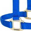 Weaver Equine Nylon Horse Halter, Triple-Ply Cheek Design, Original Non Adjustable Halters for Horses, Equine Tack,Average Size, Black(Blue)