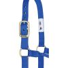 Weaver Equine Nylon Horse Halter, Triple-Ply Cheek Design, Original Non Adjustable Halters for Horses, Equine Tack,Average Size, Black(Blue)