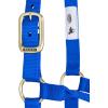 Weaver Equine Nylon Horse Halter, Triple-Ply Cheek Design, Original Non Adjustable Halters for Horses, Equine Tack,Average Size, Black(Blue)