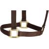 Weaver Equine Nylon Horse Halter, Triple-Ply Cheek Design, Original Non Adjustable Halters for Horses, Equine Tack,Average Size, Black(Brown)