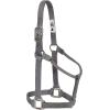 Weaver Equine Nylon Horse Halter, Triple-Ply Cheek Design, Original Non Adjustable Halters for Horses, Equine Tack,Average Size, Black(Graphite)