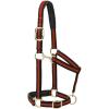 Weaver Equine Nylon Horse Halter, Triple-Ply Cheek Design, Original Non Adjustable Halters for Horses, Equine Tack,Average Size, Black(Green/Black)
