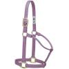 Weaver Equine Nylon Horse Halter, Triple-Ply Cheek Design, Original Non Adjustable Halters for Horses, Equine Tack,Average Size, Black(Lavender)