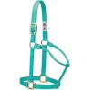 Weaver Equine Nylon Horse Halter, Triple-Ply Cheek Design, Original Non Adjustable Halters for Horses, Equine Tack,Average Size, Black(Mint)
