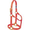 Weaver Equine Nylon Horse Halter, Triple-Ply Cheek Design, Original Non Adjustable Halters for Horses, Equine Tack,Average Size, Black(Orange)