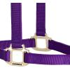 Weaver Equine Nylon Horse Halter, Triple-Ply Cheek Design, Original Non Adjustable Halters for Horses, Equine Tack,Average Size, Black(Purple)