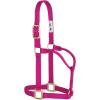 Weaver Equine Nylon Horse Halter, Triple-Ply Cheek Design, Original Non Adjustable Halters for Horses, Equine Tack,Average Size, Black(Raspberry)