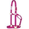 Weaver Equine Nylon Horse Halter, Triple-Ply Cheek Design, Original Non Adjustable Halters for Horses, Equine Tack,Average Size, Black(Raspberry)