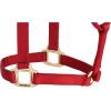 Weaver Equine Nylon Horse Halter, Triple-Ply Cheek Design, Original Non Adjustable Halters for Horses, Equine Tack,Average Size, Black(Red)