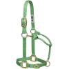 Weaver Leather Original Adjustable Nylon Horse Halter