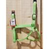 Pistachio Green