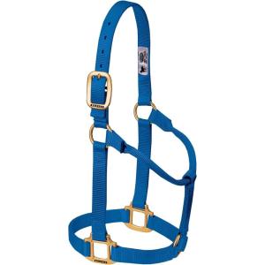 Weaver Equine Nylon Horse Halter, Triple-Ply Cheek Design, Original Non Adjustable Halters for Horses, Equine Tack,Average Size, Black(Blue)