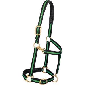 Weaver Equine Nylon Horse Halter, Triple-Ply Cheek Design, Original Non Adjustable Halters for Horses, Equine Tack,Average Size, Black(Green/Black)