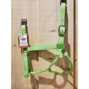 Weaver Equine Nylon Horse Halter, Triple-Ply Cheek Design, Original Non Adjustable Halters for Horses, Equine Tack,Average Size, Black(Pistachio Green)
