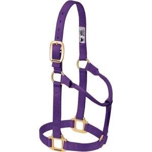 Weaver Equine Nylon Horse Halter, Triple-Ply Cheek Design, Original Non Adjustable Halters for Horses, Equine Tack,Average Size, Black(Purple)