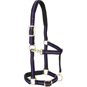 Weaver Equine Nylon Horse Halter, Triple-Ply Cheek Design, Original Non Adjustable Halters for Horses, Equine Tack,Average Size, Black(Purple/Black)
