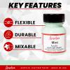 Angelus Leather Paint 1 Oz Red(Mint)